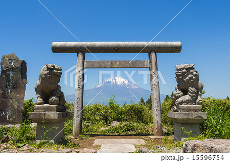 御殿場市駿河台の鳥居と富士山 御殿場市駿河台の鳥居と富士山 15596754