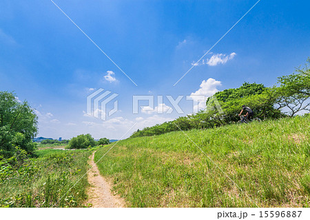 多摩川 サイクリングロードと河川敷 多摩川 サイクリングロードと河川敷 15596887