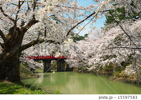 青森 弘前市 弘前城 青森 弘前市 弘前城 15597583