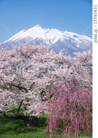 青森 板柳町 青森 板柳町 15597631