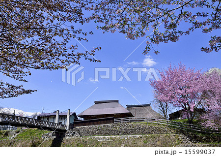 大出の吊り橋 大出の吊り橋 15599037