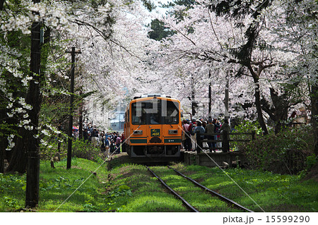 青森 五所川原市 芦野公園 青森 五所川原市 芦野公園 15599290