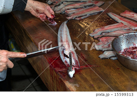 うなぎをさばく 15599313