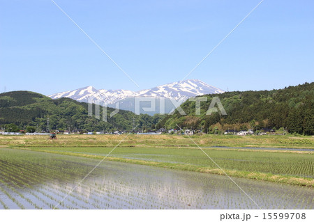 残雪の鳥海山 15599708