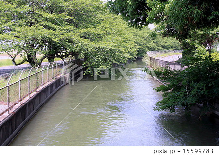 見沼用水路（埼玉） 15599783