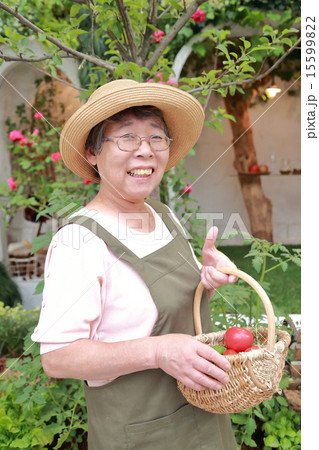 趣味の園芸シニア女性 15599822