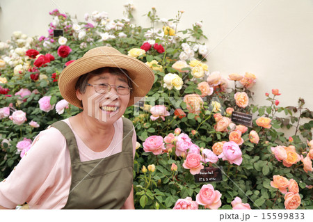 趣味の園芸シニア女性 15599833