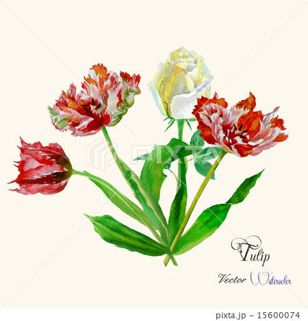 Background with tulips and roses Background with tulips and roses 15600074