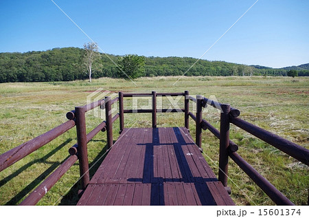 草原と木道の終点 草原と木道の終点 15601374