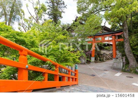 宇治神社 15601458