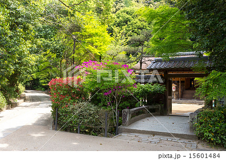 宇治上神社 宇治上神社 15601484