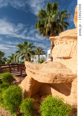 The tropical garden in Egypt. 15602008