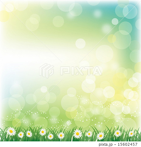 デージー　緑　背景 15602457