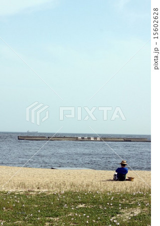 初夏の浜辺 15602628