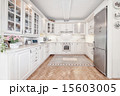 Elegant kitchen 15603005