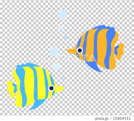 熱帯魚 15604531