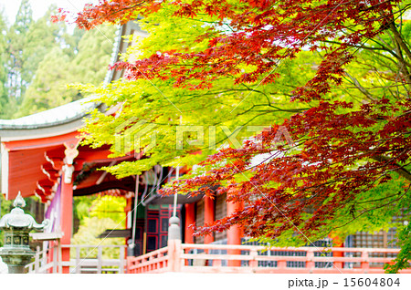 紅葉の中の比叡山延暦寺 15604804