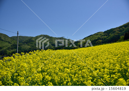 長野県筑北村の風景 15604819