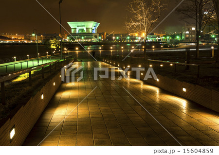 像の鼻パークから大さん橋埠頭ビルの夜景 15604859
