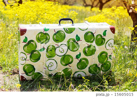 Suitcase in green grass on natural background Suitcase in green grass on natural background 15605015