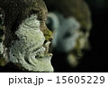 羅漢の横顔 15605229