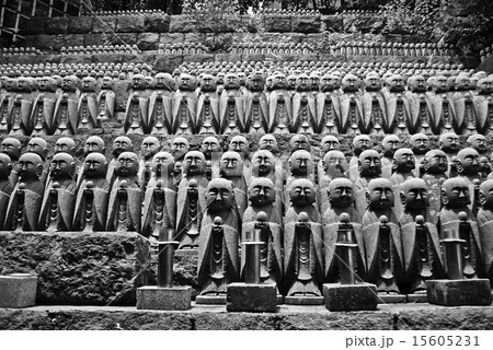 覚者の翼 15605231