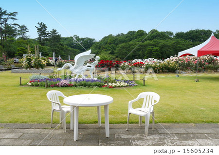 生田緑地ばら苑 生田緑地ばら苑 15605234