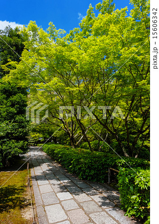 世界遺産　苔寺にて 15606342