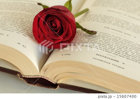 Old book and rose Old book and rose 15607400