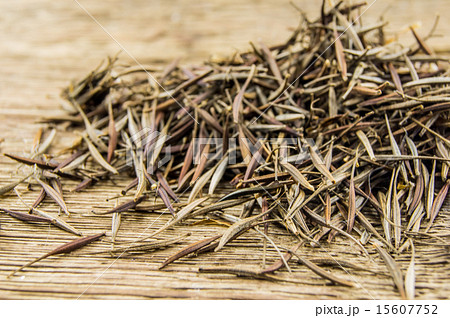 pile of marigold seeds is ready to plant in a spri 15607752