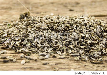 pile of marigold seeds is ready to plant in a spri 15607761