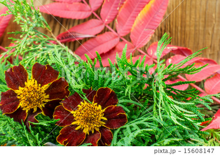 Beautiful autumn composition on wooden background 15608147