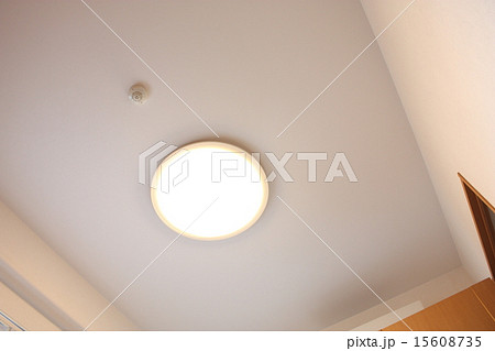 省エネ型のLED室内灯 15608735