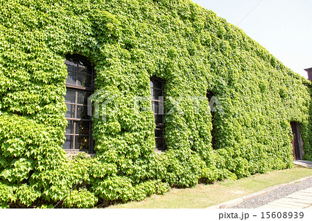 倉敷 倉敷 15608939