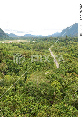 ムル山 グヌン ムル国立公園 東マレーシア ボルネオ島 の写真素材