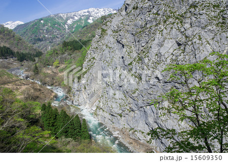 新緑の小滝川と明星山の大岩壁 15609350