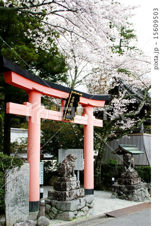 高鴨神社 高鴨神社 15609503