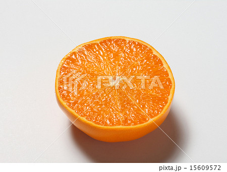 せとか せとか 15609572