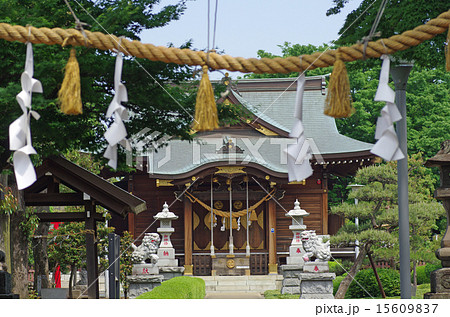 針ヶ谷氷川神社 針ヶ谷氷川神社 15609837