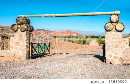 Vineyards in Cafayate, Argentina Vineyards in Cafayate, Argentina 15610306