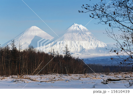 Klyuchevskoy Volcano and Kamen Volcano. Kamchatka 15610439