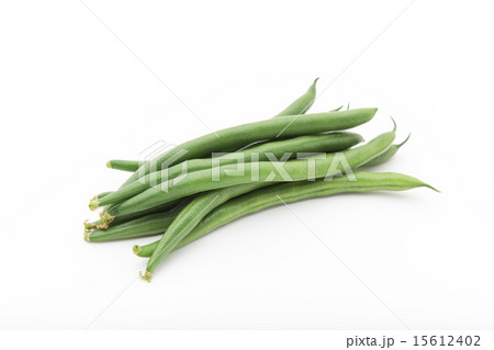 サヤインゲン 15612402