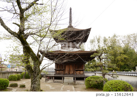 多宝塔 大樹寺 国の重要文化財 多宝塔 大樹寺 国の重要文化財 15612643