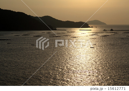 夕焼け 15612771