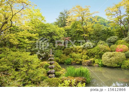 日光山輪王寺の逍遥園（栃木県日光市） 15612866