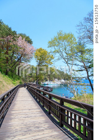岩手県 三陸復興国立公園 浄土ヶ浜 岩手県 三陸復興国立公園 浄土ヶ浜 15613750
