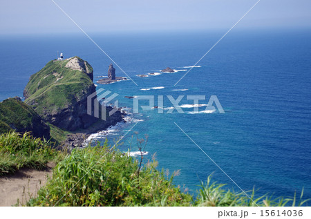 青い空、青い海の神威岬 15614036