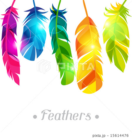 Colorful background with bright abstract transparent feathers Colorful background with bright abstract transparent feathers 15614476