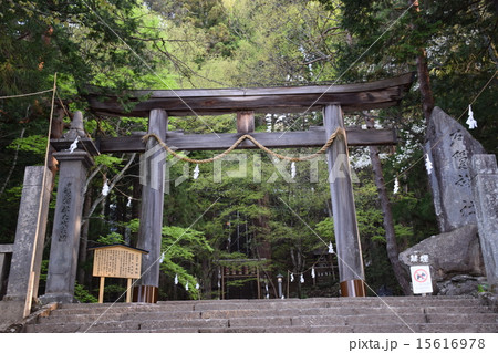 平成27年度春 七年に一度 長野 戸隠神社 式年大祭 中社 鳥居 平成27年度春 七年に一度 長野 戸隠神社 式年大祭 中社 鳥居 15616978