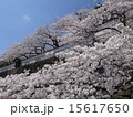 春の金沢城 15617650